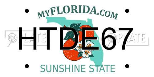 HTDE67 Florida License Plate