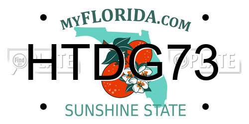 HTDG73 Florida License Plate