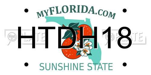 HTDH18 Florida License Plate