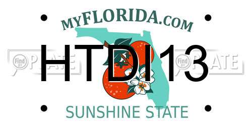 HTDI13 Florida License Plate