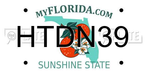 HTDN39 Florida License Plate
