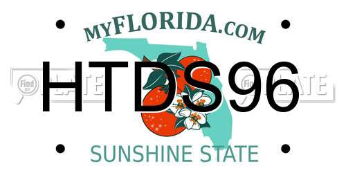 HTDS96 Florida License Plate