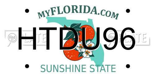 HTDU96 Florida License Plate