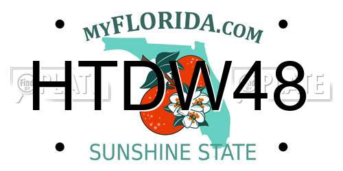 HTDW48 Florida License Plate