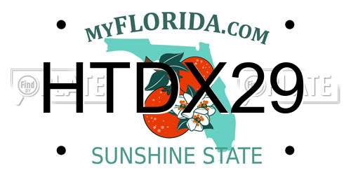 HTDX29 Florida License Plate