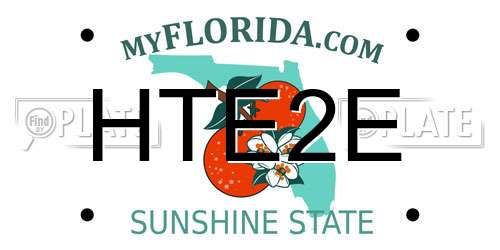 HTE2E Florida License Plate
