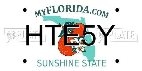 HTE5Y Florida License Plate