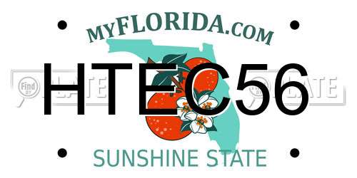 HTEC56 Florida License Plate