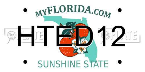 HTED12 Florida License Plate