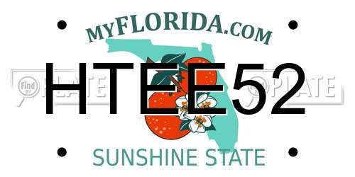 HTEE52 Florida License Plate