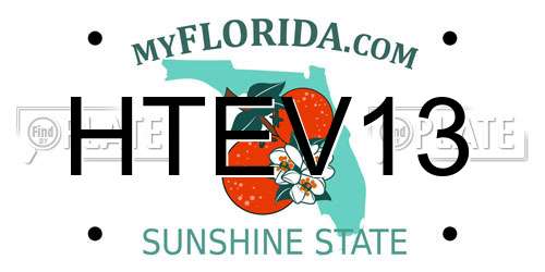 HTEV13 Florida License Plate