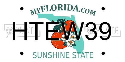 HTEW39 Florida License Plate