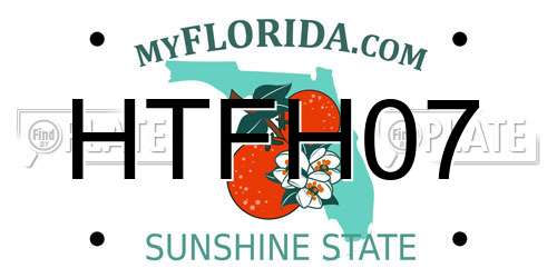 HTFH07 Florida License Plate