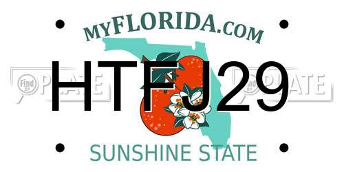 HTFJ29 Florida License Plate