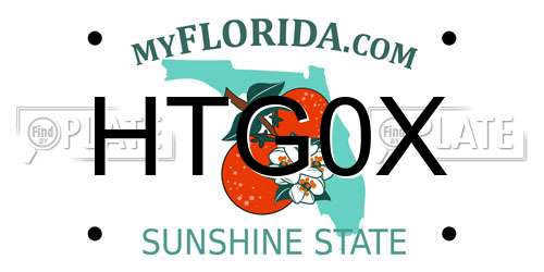 HTG0X Florida License Plate