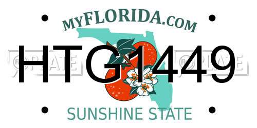 HTG1449 Florida License Plate