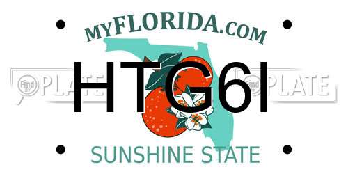 HTG6I Florida License Plate