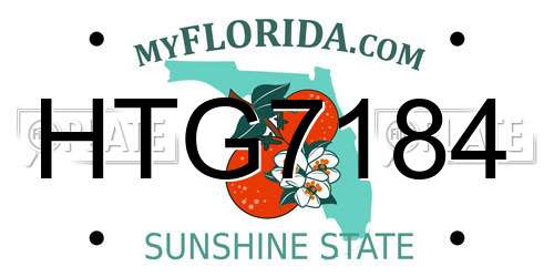 HTG7184 Florida License Plate