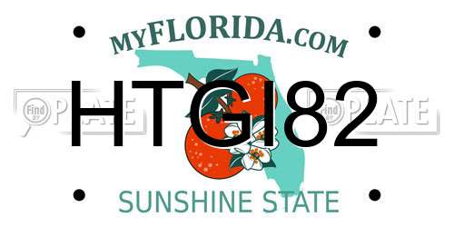 HTGI82 Florida License Plate
