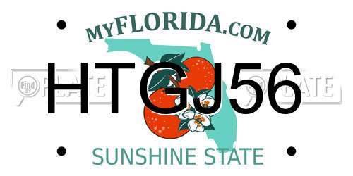 HTGJ56 Florida License Plate