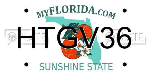 HTGV36 Florida License Plate
