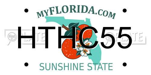 HTHC55 Florida License Plate