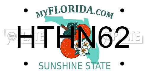HTHN62 Florida License Plate