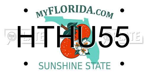 HTHU55 Florida License Plate