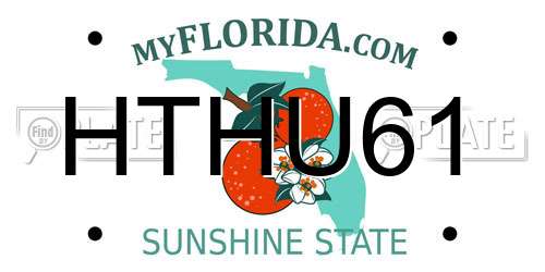 HTHU61 Florida License Plate