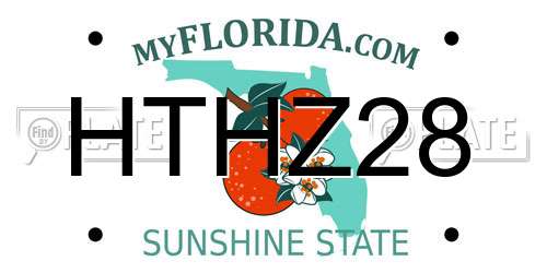 HTHZ28 Florida License Plate