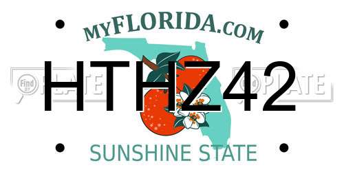HTHZ42 Florida License Plate