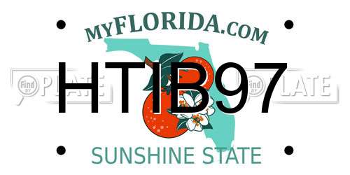 HTIB97 Florida License Plate