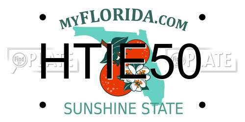 HTIE50 Florida License Plate