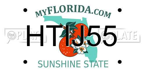 HTIJ55 Florida License Plate