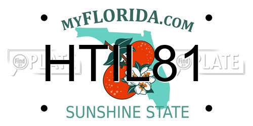 HTIL81 Florida License Plate
