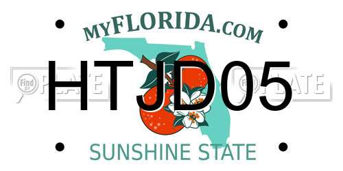 HTJD05 Florida License Plate