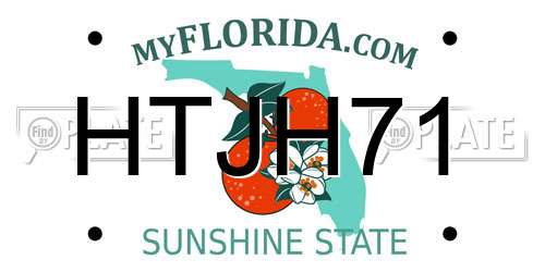 HTJH71 Florida License Plate