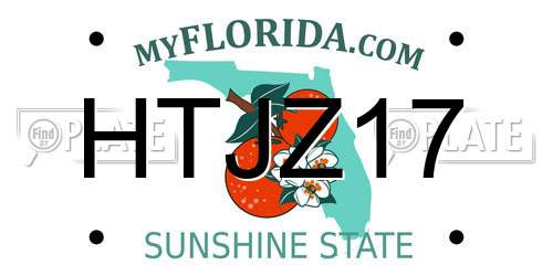 HTJZ17 Florida License Plate