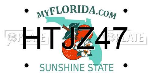 HTJZ47 Florida License Plate
