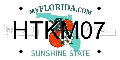 HTKM07 Florida License Plate