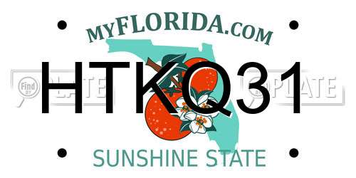 HTKQ31 Florida License Plate