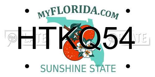 HTKQ54 Florida License Plate