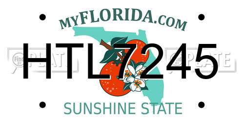 HTL7245 Florida License Plate