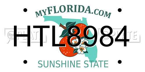 HTL8984 Florida License Plate