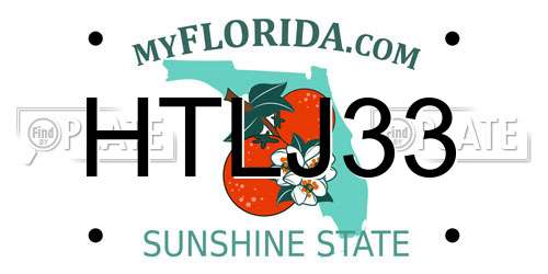 HTLJ33 Florida License Plate