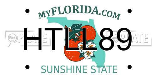 HTLL89 Florida License Plate