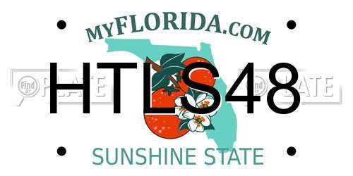 HTLS48 Florida License Plate