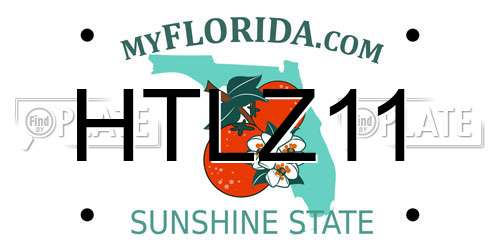HTLZ11 Florida License Plate