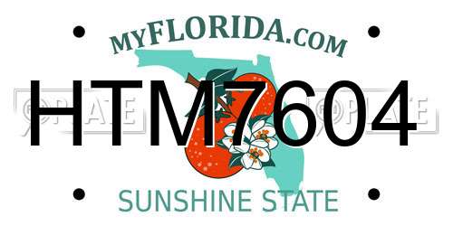 HTM7604 Florida License Plate