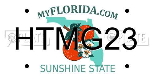 HTMG23 Florida License Plate